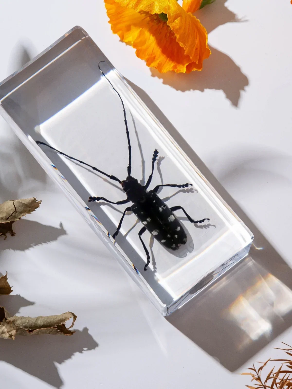 Стиль искусственный образец прозрачный зернистый белый пятнистый длинный