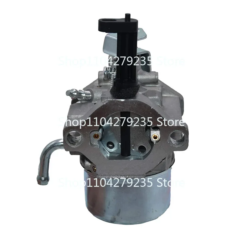 Применимо к Брайтону 715782 715783 715525 715494 715390 Карбюратор GM401P
