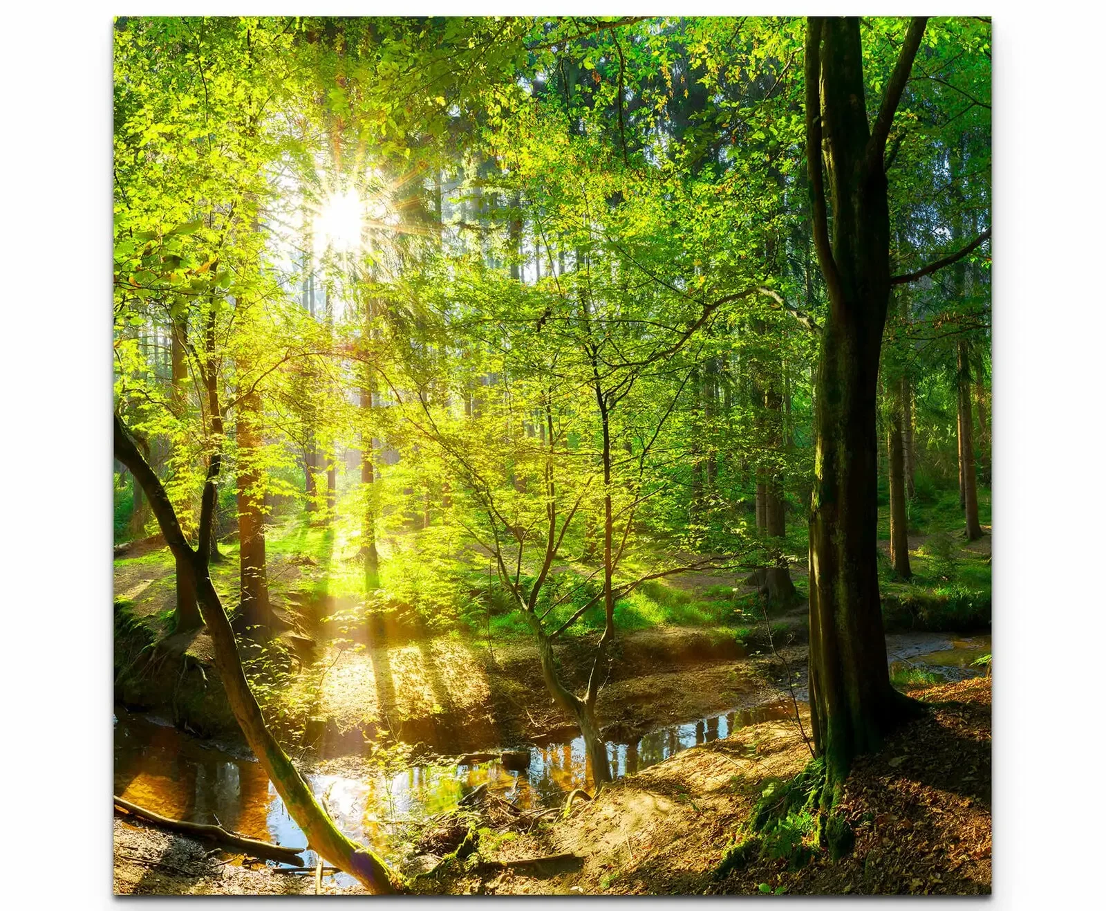 Monalt Абстрактный пейзаж на холсте