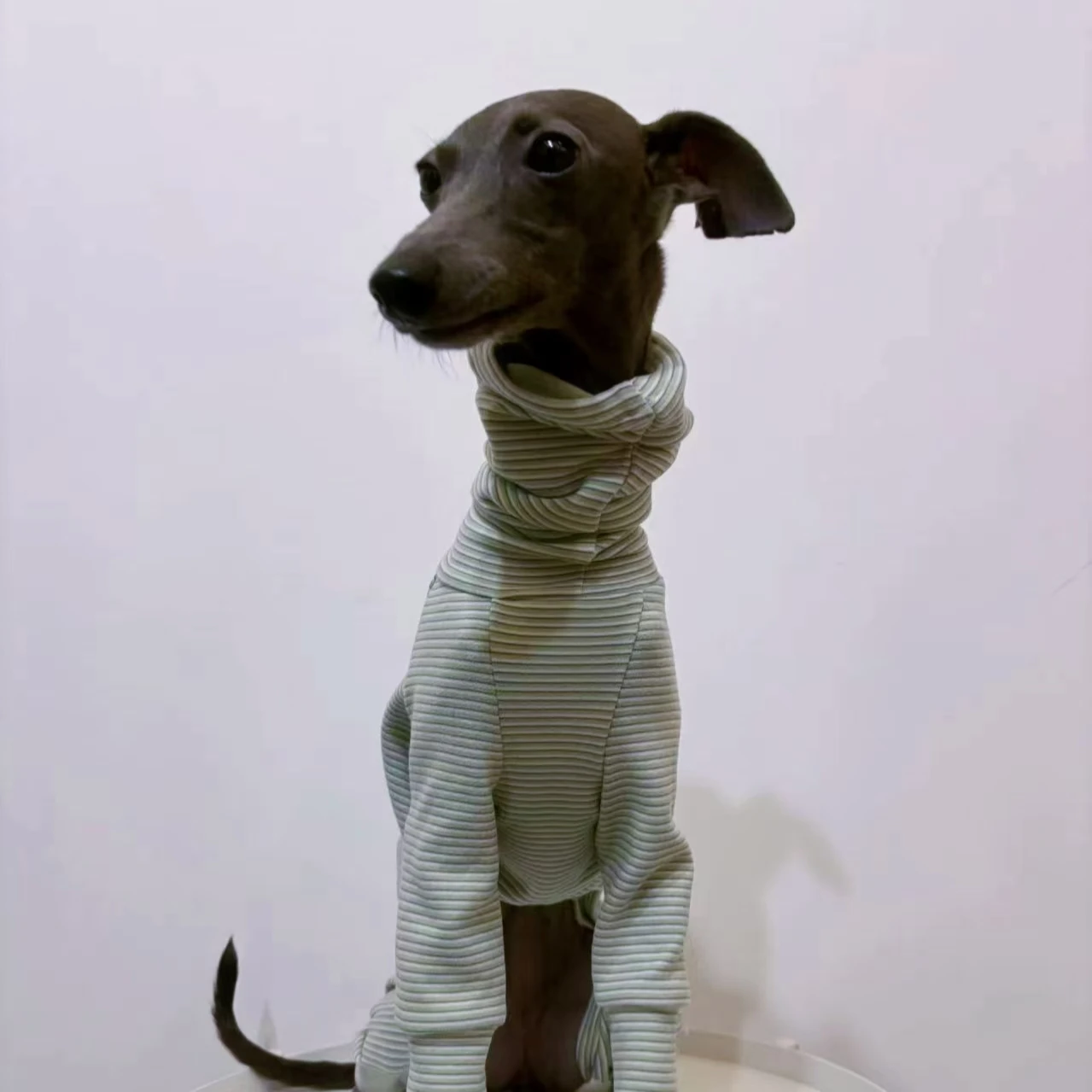 Итальянская теплая одежда Little Lingti бархатная зеленая полосатая мягкая и удобная