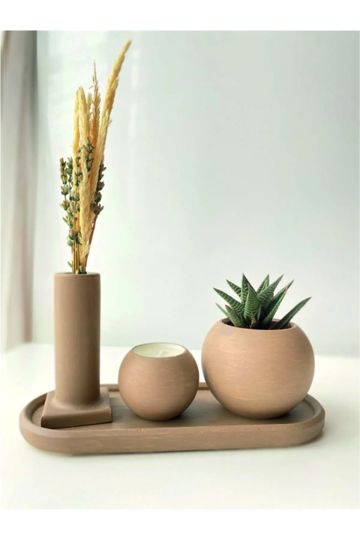 

Souvenir Decorative Potted Set Candle Sukulent Dry Plant Concrete Gray Object and Trinket Home Decoration & Furniture