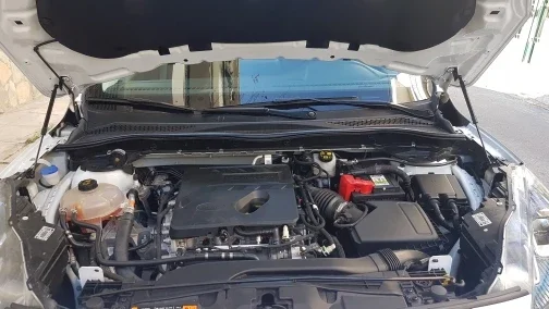 Фото Амортизаторы капота (газовые пружины) для Ford Escape Kuga 2020-2026, передние, 2 шт. №1
