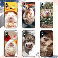 hedgehog cute animal phone case for xiaomi redmi note 7 8 9 11 i t s 10 a poco f3 x3 pro lite funda shell coque cover