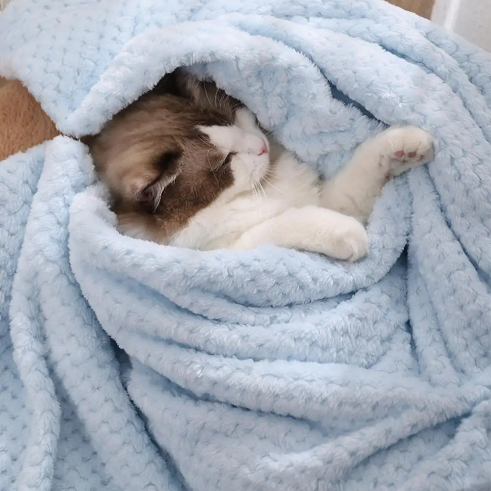 

Useful Dogs Blanket Unique Texture Thick Dogs Cat Sleeping Cushion Blanket Cat Sleeping Cushion Pet Blanket