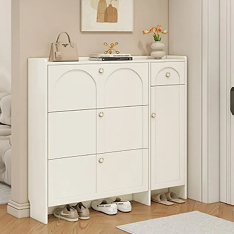 Шкаф для гостиной полка обуви органайзер коврики организации шкафы салона