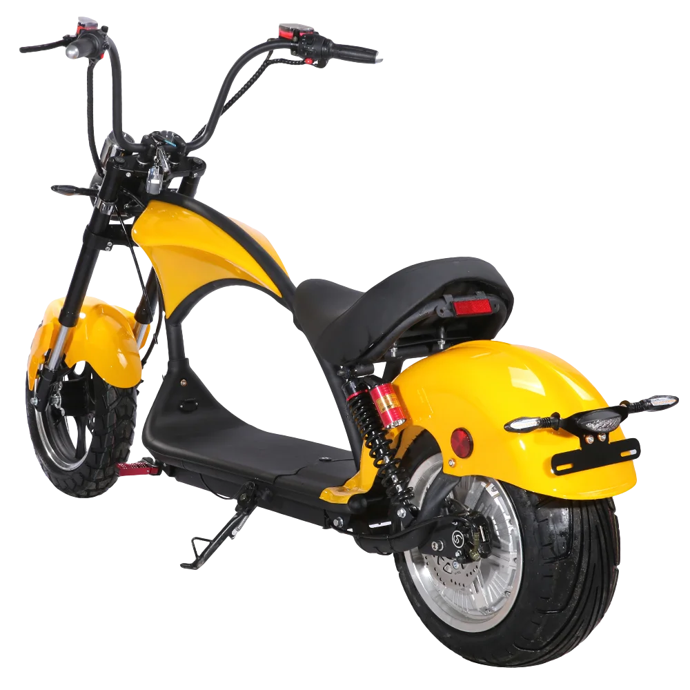 Рисунок 5 - Прямая Заводская цена EEC/COC 2000W 60V 20Ah