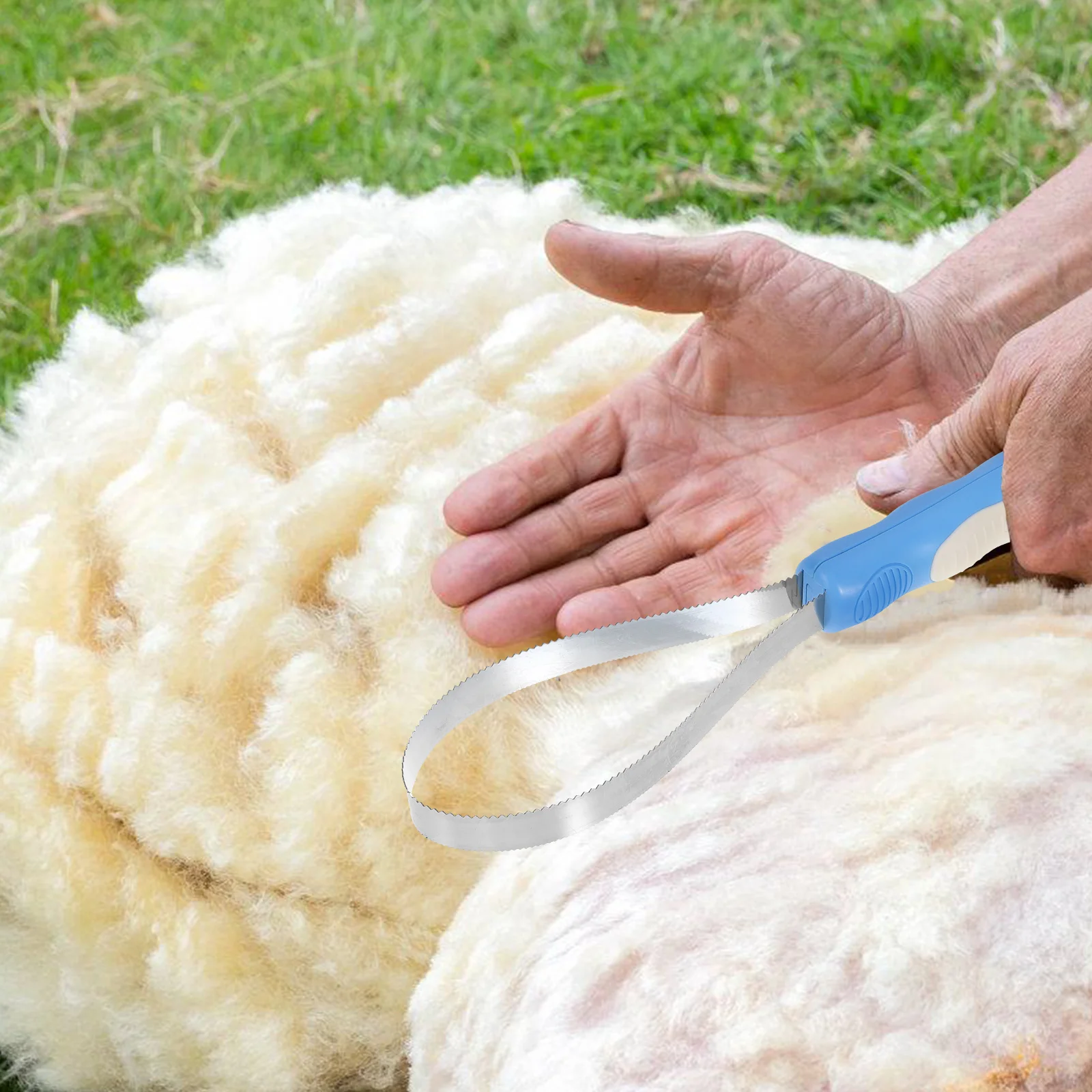 Рисунок 5 - Многофункциональный зубчатый сарай