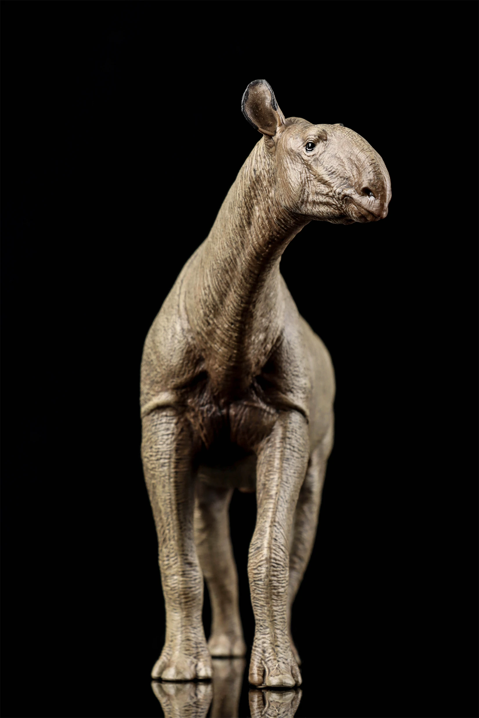 Фото Фигурка Eofauna Paraceratherium Grangeri в масштабе 1:35, из семейства Paraceratheriidae, гигантский прародинозавр, коллекционная модель для декорации сцен №4