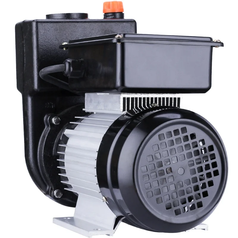 

Feli Electric Surface Water Pumps Booster Pump For Irrigation System Self Priming Pump