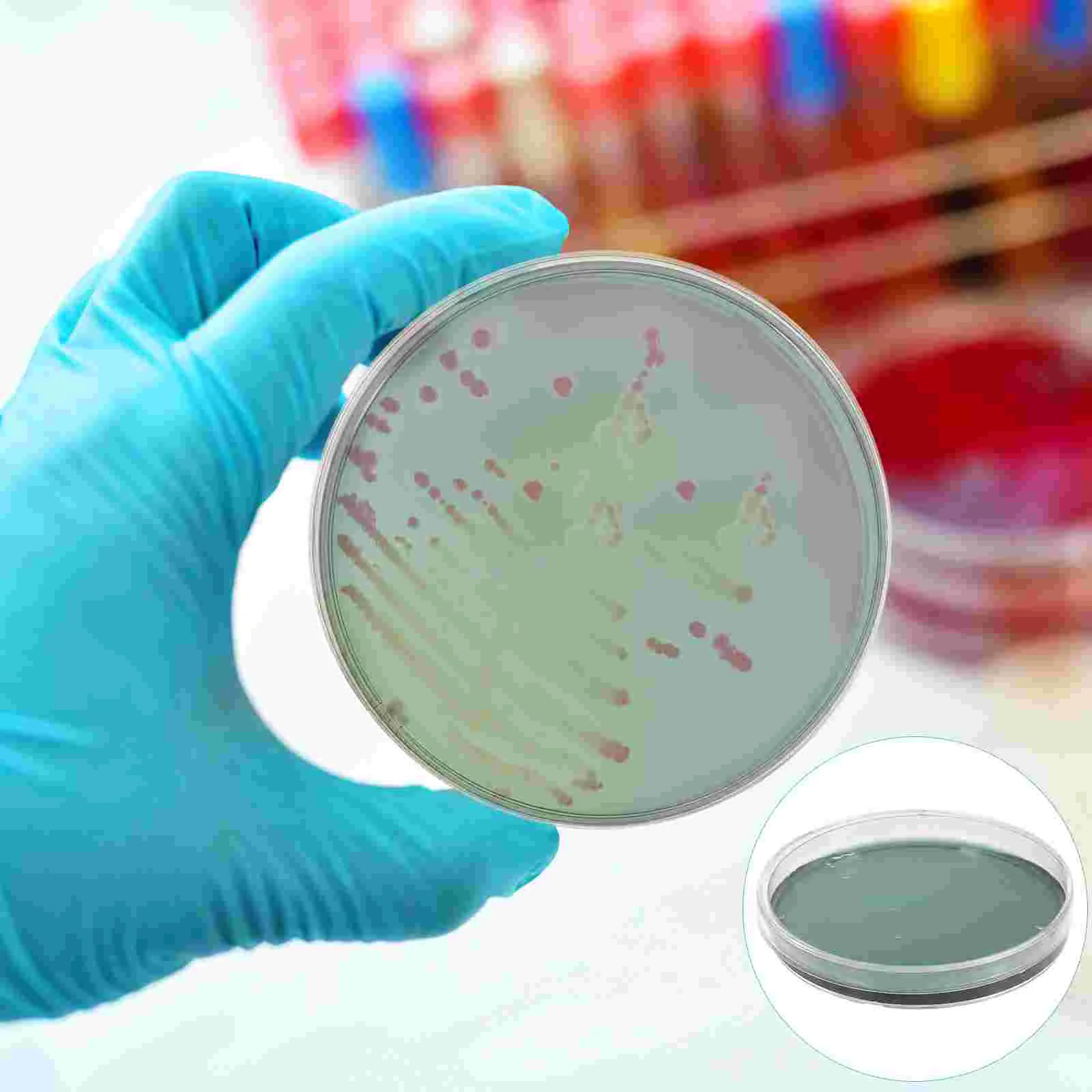 

5 Pcs Experiment Tool Laboratory Supplies Prepoured Petri Plates Experimental Supplies Nutrient Agar Plate