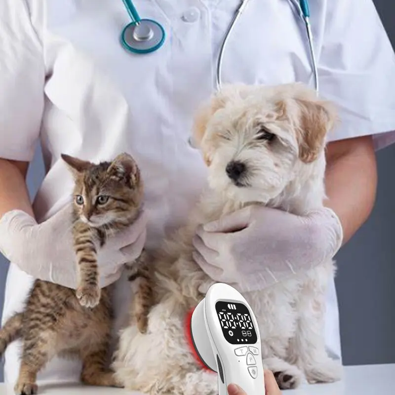 

Устройство для холодной лазерной терапии LLLT для артрита, снятия боли в коленях, плечах, ранах собак, домашних животных