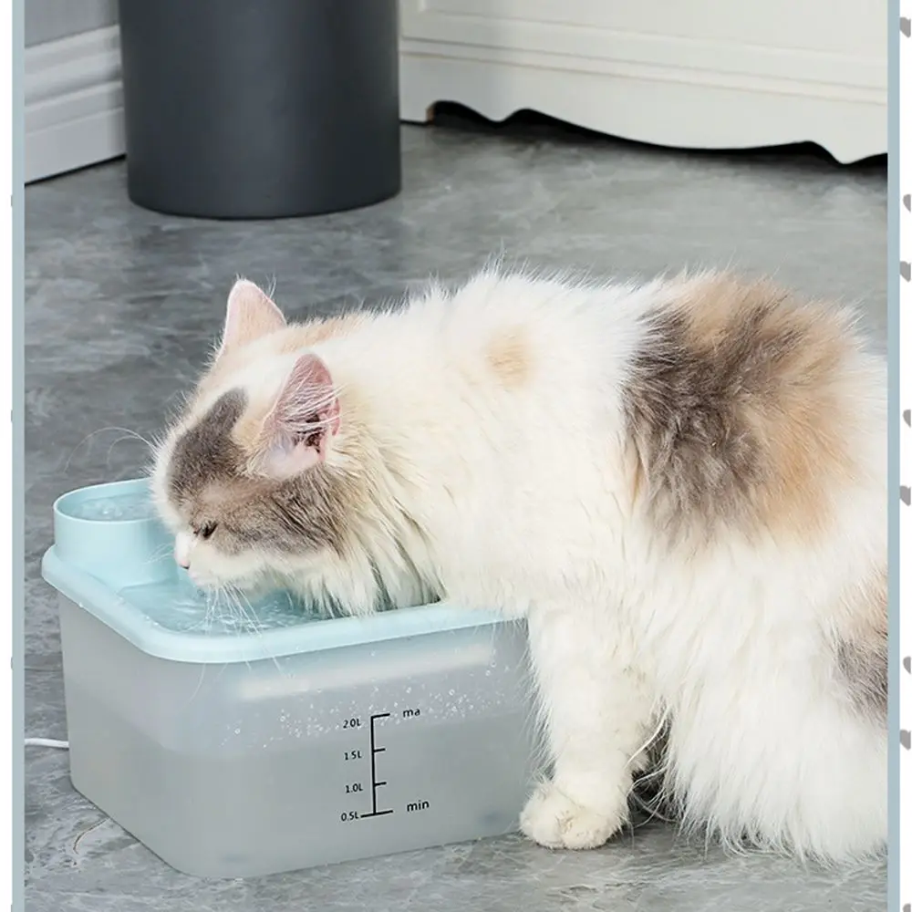 

Low Consumption Intelligent Living Water Silent Water Fountain Drinking Pet Water Dispenser Drinking Bowl Cat/Dog