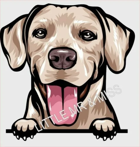 

For RHODESIAN RIDGEBACK Peeking DOG Breed Color Wall Window Laptop Sticker