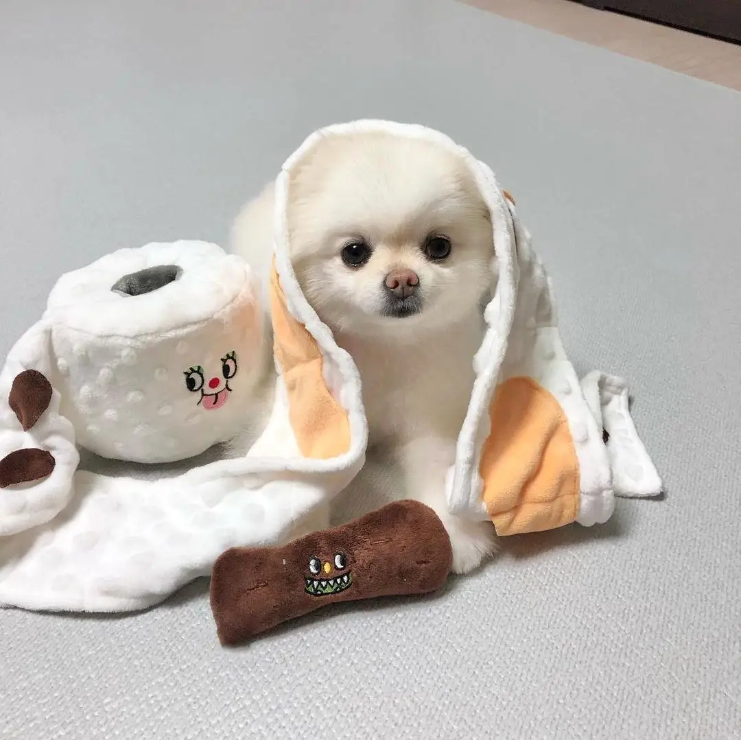 

Pet Roll Paper Bucket Set Toy Hidden Food Toy Dog Plush Toy Durable Squeaky Cute Doll Pet Toy Accessories Training Interactive