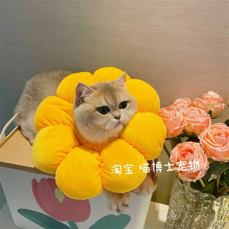 Солнцезащитный венок с изображением кошки милый кастрированный ошейник