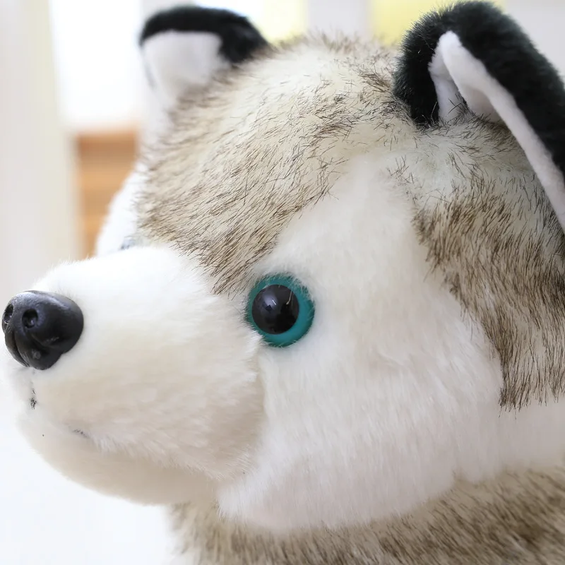 

Silly expression funny toy simulation husky doll pillow cute dog plush toy doll doll children's birthday gift