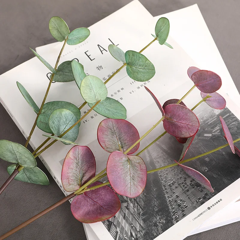 

1 Pcs Natural Eucalyptus Leaves Dried Flowers Dried Eucalyptus Leaves Real Plants DIY Wedding Home Decor Eucalyptus Branch Stems