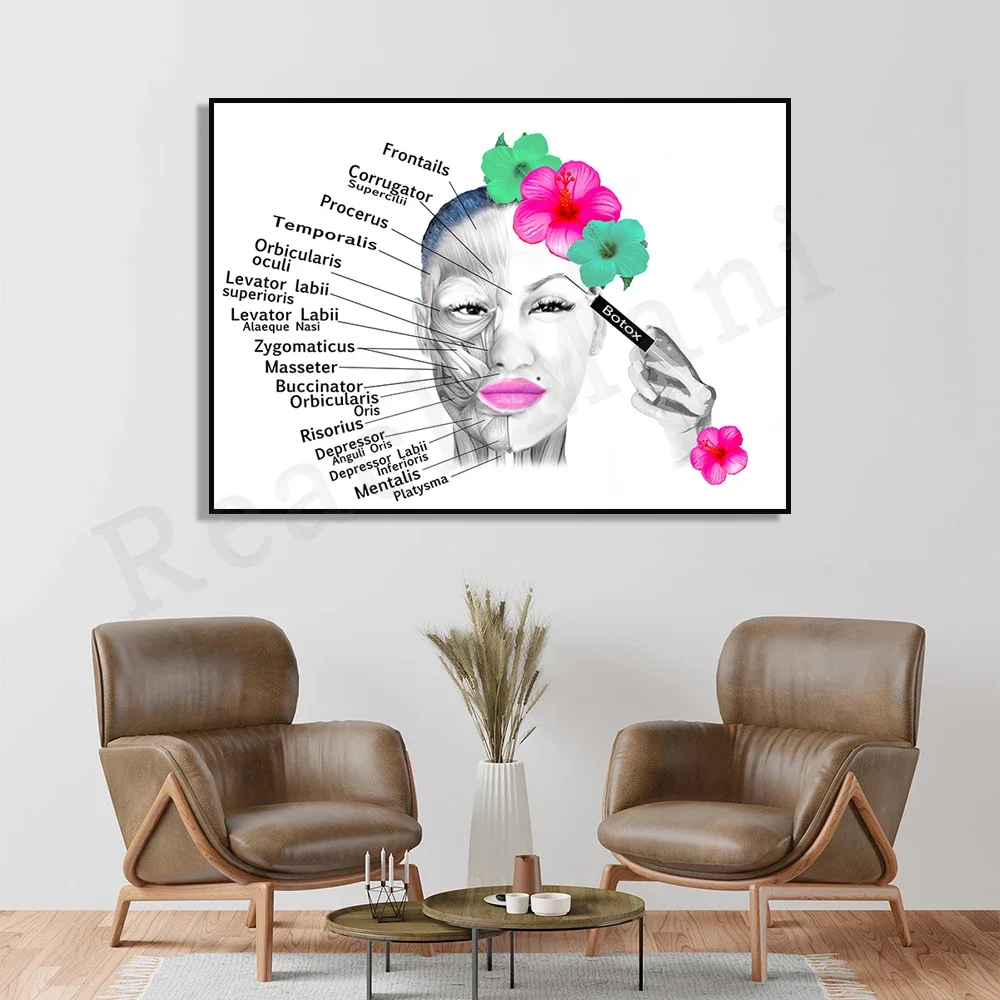 Постер анатомии лица мышцы и прожилки косметолог пластика хирурга массажный