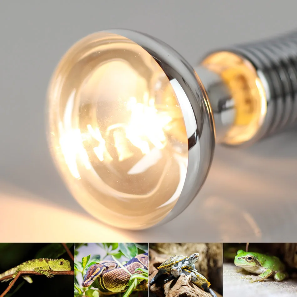 E27 R80 Pet Heating Bulb Reflector Spotlight Climbing Pet Warm Yellow Warm Light 3500k Heating Bulb 220V 60W 110V 75W