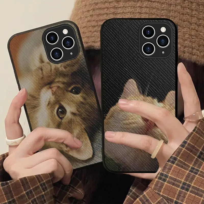

Funny Cute Cat Phone Case Hard Leather Case for iPhone 11 12 13 Mini Pro Max 8 7 Plus SE 2020 X XR XS Coque