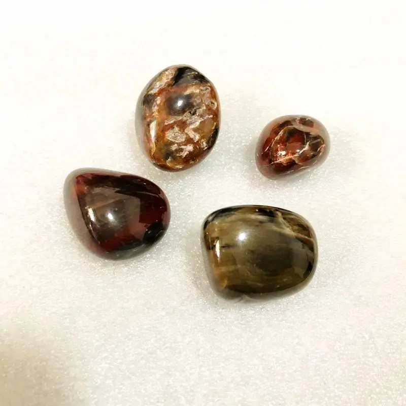 Оптовая продажа 4 шт. полированное окаменелое дерево яшма морское стекло камни