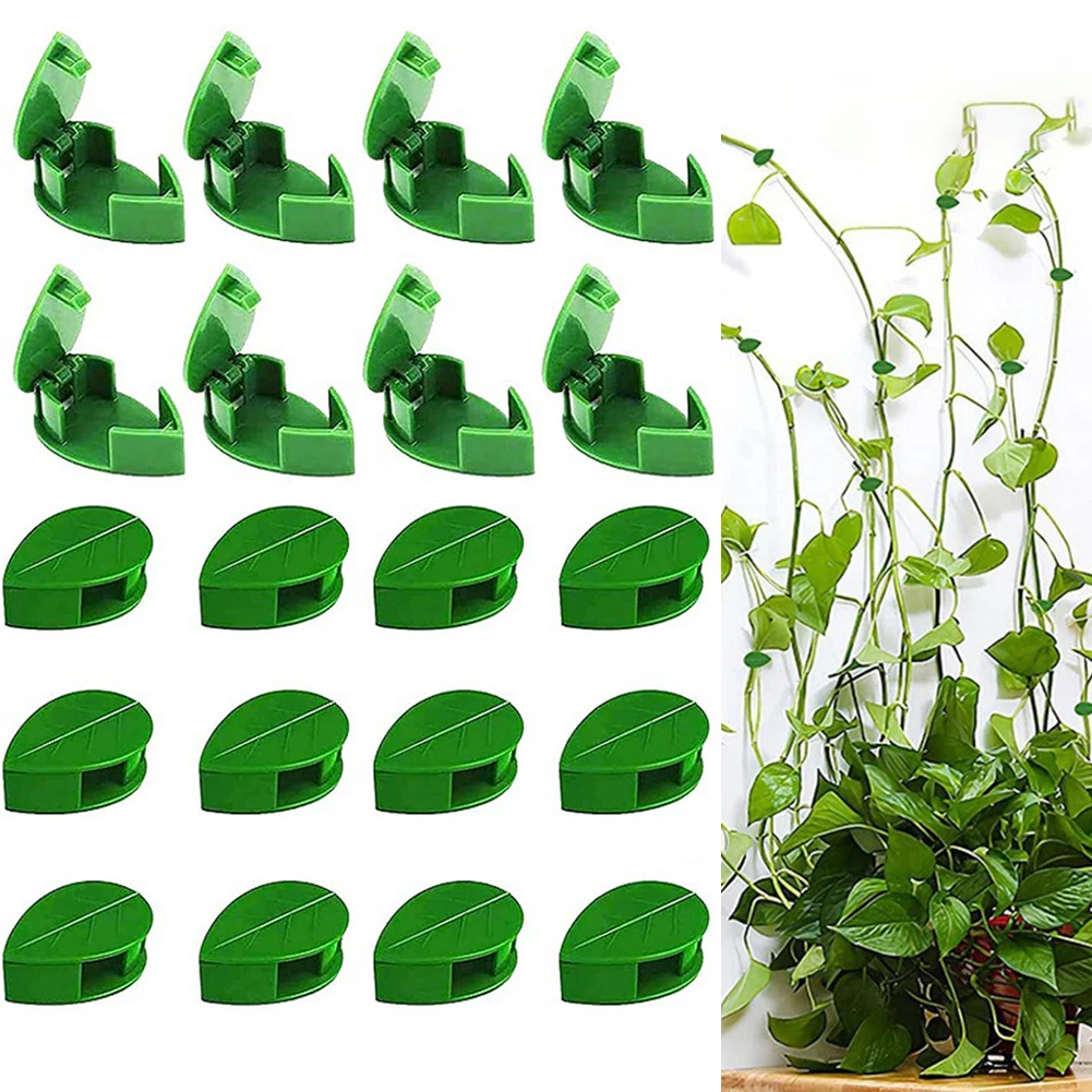 

10pc Plant Climbing Wall Fixture Clips Invisible Vines Self-Adhesive Hook Wire Fixing Snap Leaf Shape Clips Garden Support Tool