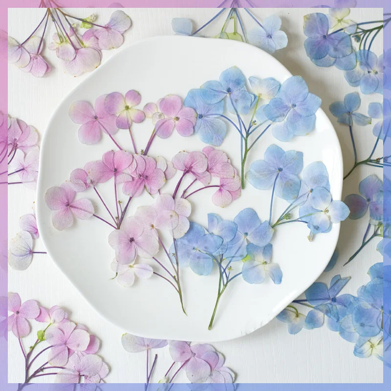 6-9 см/12 шт. прессованные гортензии сушеные цветы сделай сам настоящие листья