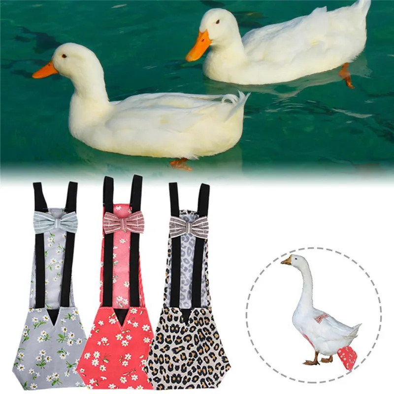 

Pet Diapers Chicken Shit Paper Diapers Prevent Messy Diapers Chicken Duck Diapers Farm Clothing Pet Supplies