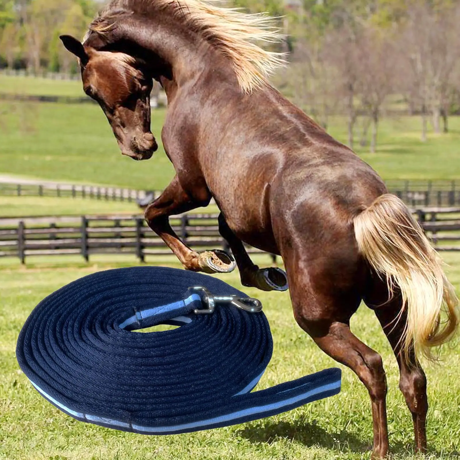 

Horse Rope Lead Webbing Long Line Traction Rope Heavy Duty Horse Dog Training Leash for Small Medium Dogs Backyard Play Training