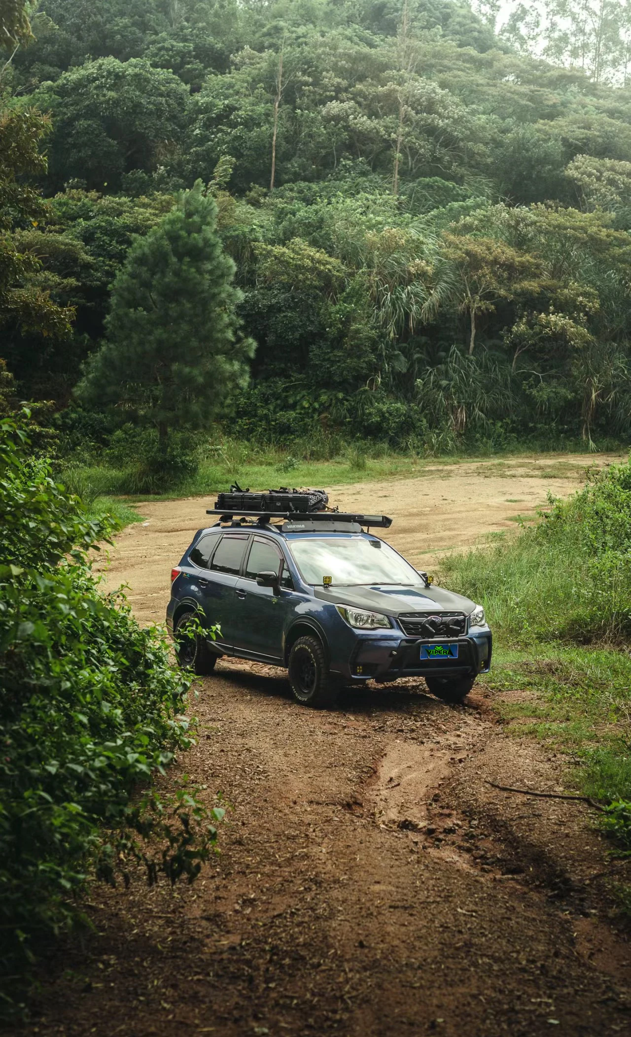 Фото Нижний размер автомобиля для масляного амортизатора Subaru Forester Vipera, внедорожные автозапчасти, аксессуары №2