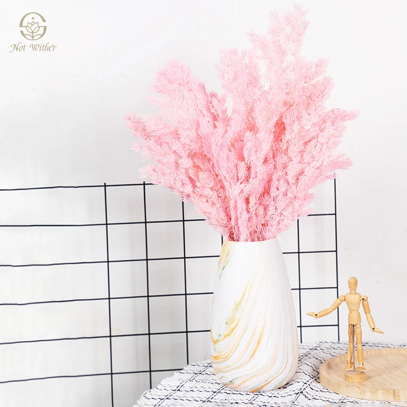 

70g Natural Dried Flowers Penglai Pine Needles Home Room Decor Accessories Bohemian Chic Decoration Wedding Supplies Bouquets