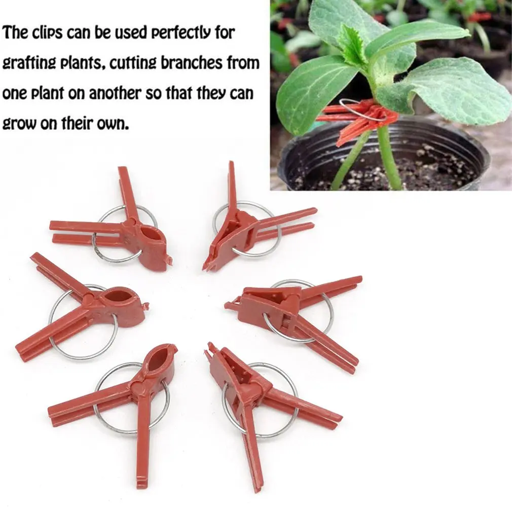 Прививочный зажим для овощей 50 шт. огурцов арбуз дыня прививки баклажанов
