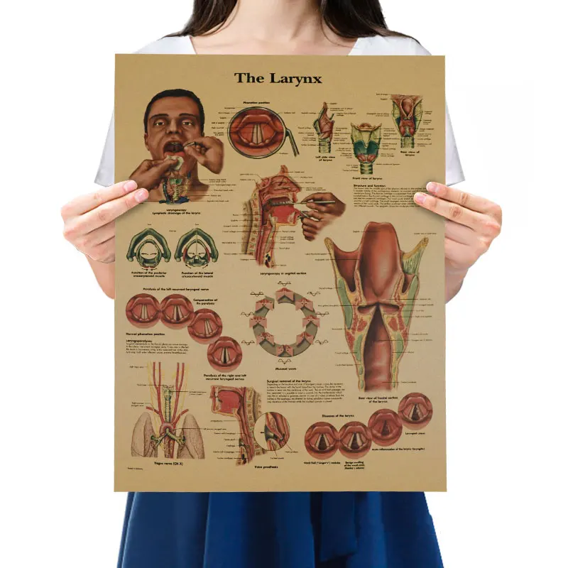 

WINMIR Vintage Kraft Paper Poster Human Throat Detail Medical Popular Science Decor Painting Wall Stickers Kids Gifts 51*35cm