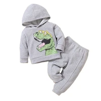 infant baby boy clothes wholesale 2pcs newborn autumn winter long sleeve hooded dinosaur print sweatshirt sweatpants set