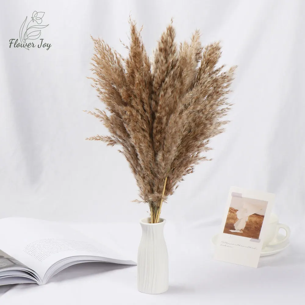 

Natural Reed Dried Flowers Bouquets Small Pampas Grass Real Plants Stems Wedding Party Decorations Boho Home Office Table Decor