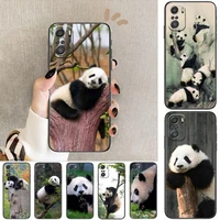 cute chinese panda animal for xiaomi redmi note 10s 10 9t 9s 9 8t 8 7s 7 6 5a 5 pro max soft black phone case