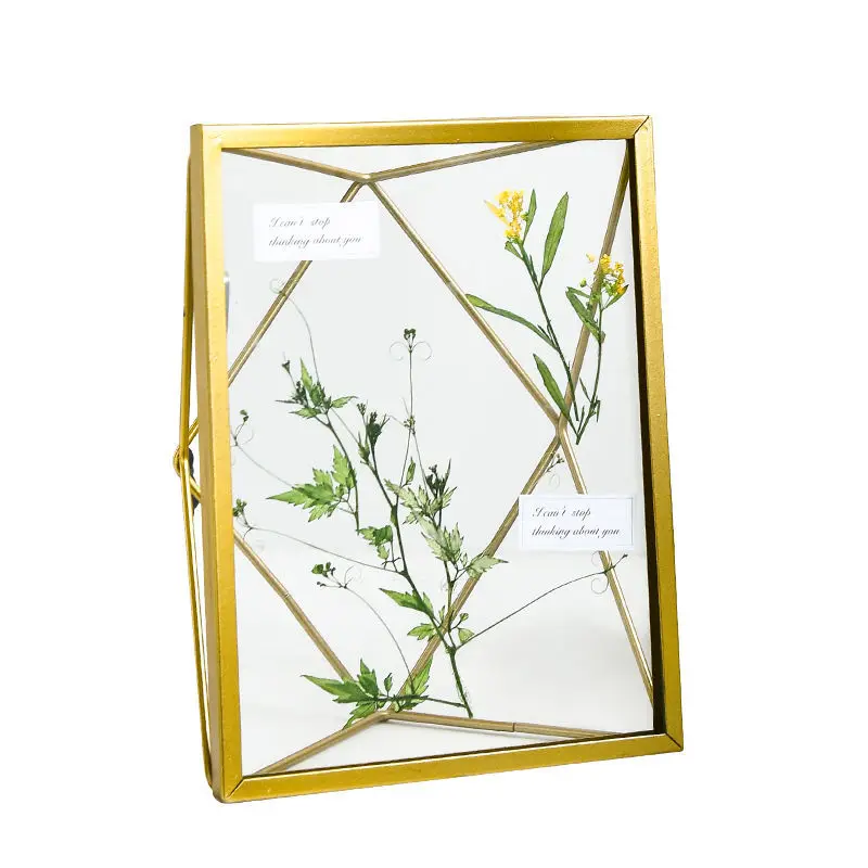 

Nordic INS literature and art simple and creative metal glass geometric photo frame table plant specimen picture frame