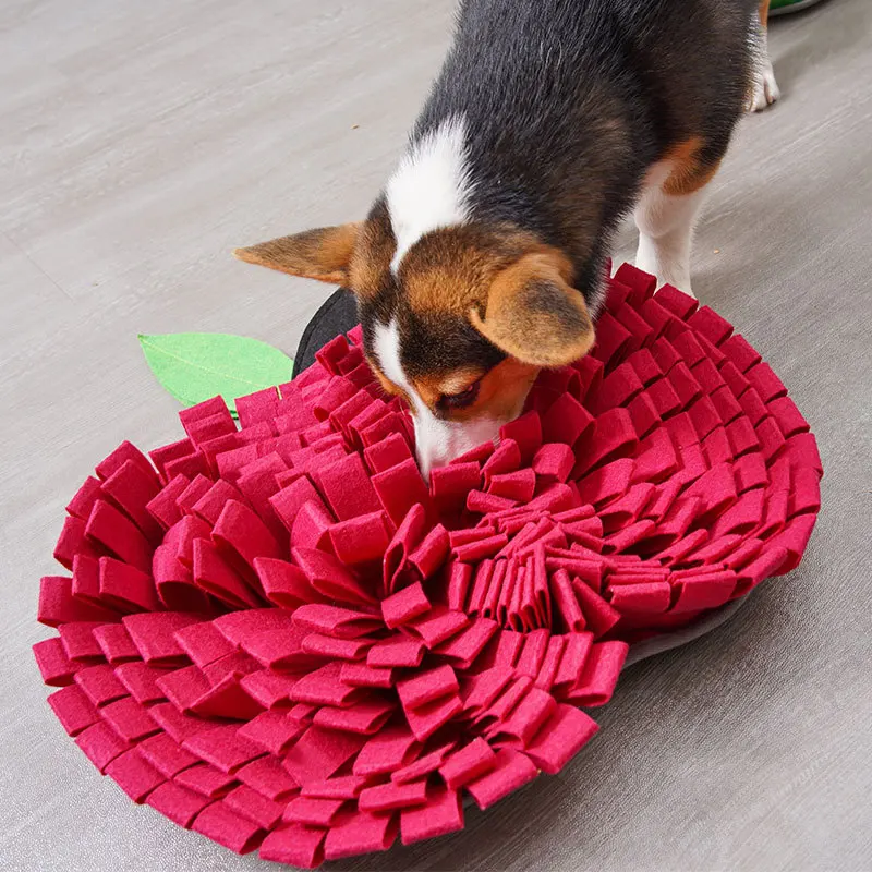 

Interactive Pet Dog Snuffle Mat Puzzle Feeder Toys Apple Shape Slow Feeder Improving Intelligence for Kitten Puppy Training 2023