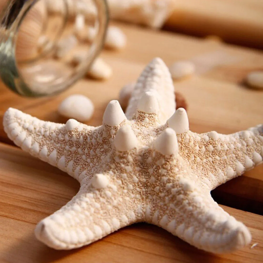 Заколка для волос с натуральными морскими звездами A6758