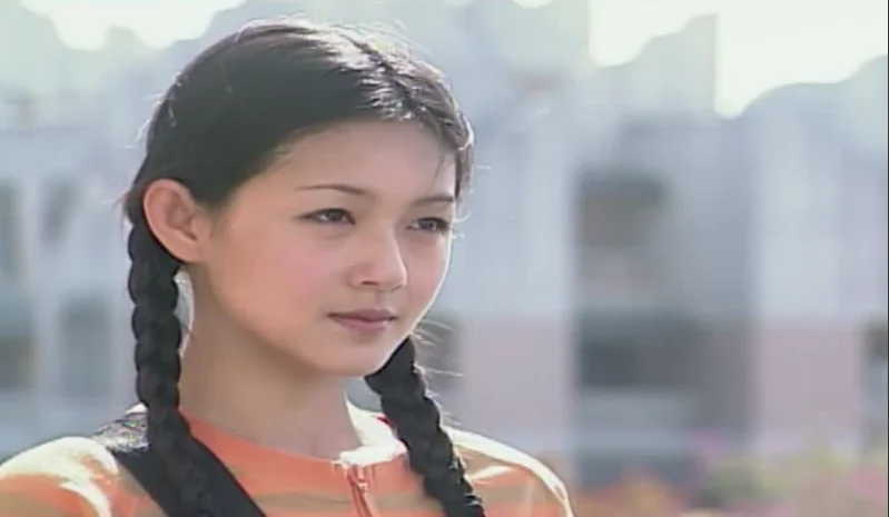 ТВ-драма 3 DVD НАБОР ДИСКОВ F4 метеоритный сад часть 1 полная серия 1-20 китайская