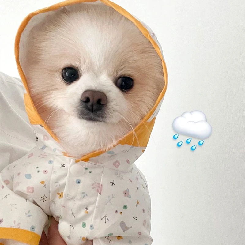 

Puppy Raincoat Four-legged Waterproof Clothes Teddy Bear Cute Rainy Day Artifact Poncho Clothes Four Seasons Universal