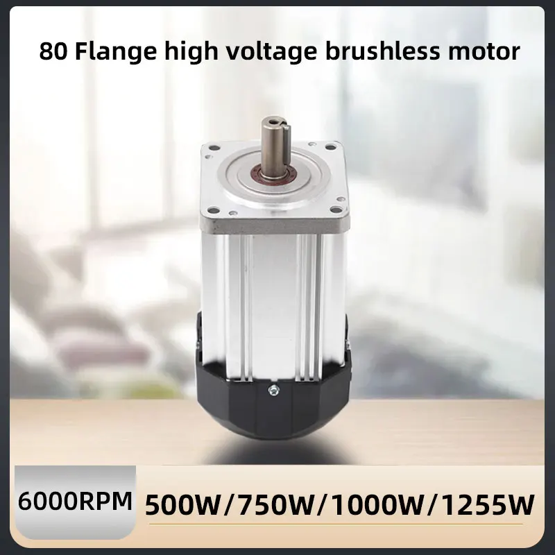 

80 BLDC Motor 6000RPM Brushless DC Motor 500W 750W 1000W 1255W 310V Low Noise BLDC Motor with Hall-Sensor