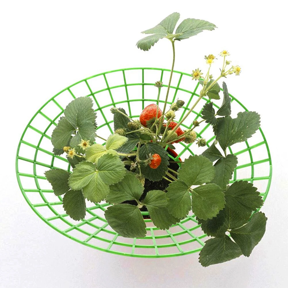 

10pcs Strawberry Stand Frame Holder Fruit Support Plant Vine Pillar Easy Use Climbing Trellis Home Garden Tools Lightweight