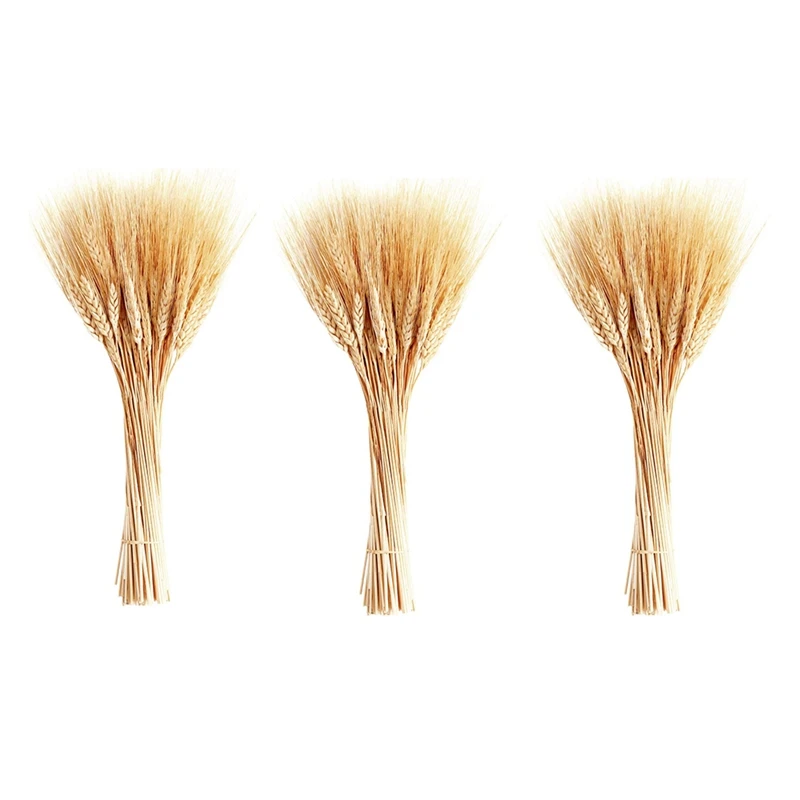 

Dried Wheat Stalks, 300 Stems Wheat Sheaves For Decorating Wedding Table Home Kitchen (15.7 Inches)