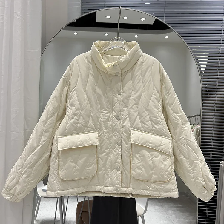 New Stand Collar Women's Short Down Jacket Thin White Duck Down Jacket Winter Long Sleeve Solid Color Casual Warm Clothes F743