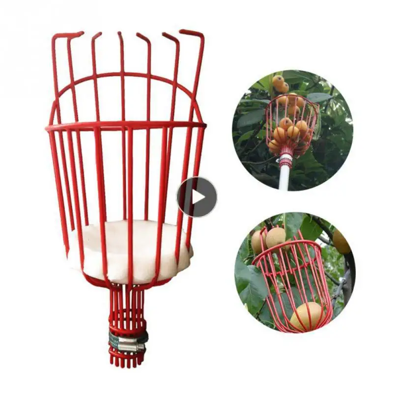 

Fruit Collector Steel Portable Fruit Picking Machine Sturdy Picking Device Garden Tools Red Fruit Picker Durable Adjustable