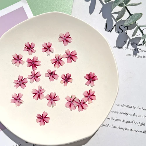 

Натуральные прессованные лепестки сакуры 24 шт