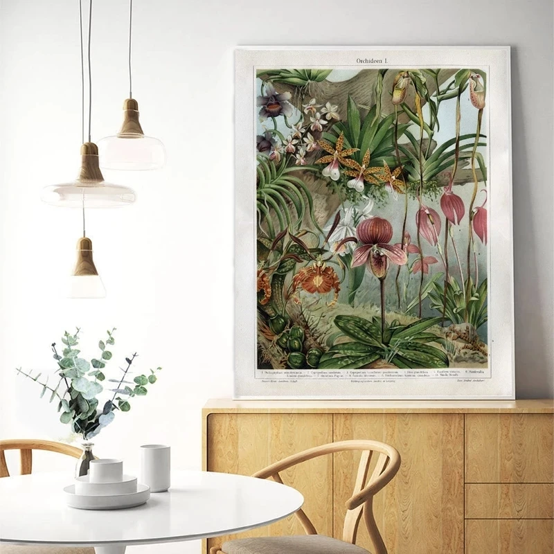 

Poster Orchids Late 1800S Botanical Canvas Prints Snapdragon Antique Flowers Plants Wall Art Painting Picture Home Room Decor