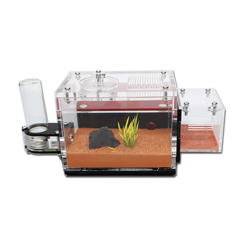 ant farm with external water tower and garbage area yellow soil ant house queen breeding area ant nest anthill castle insect box free global shipping