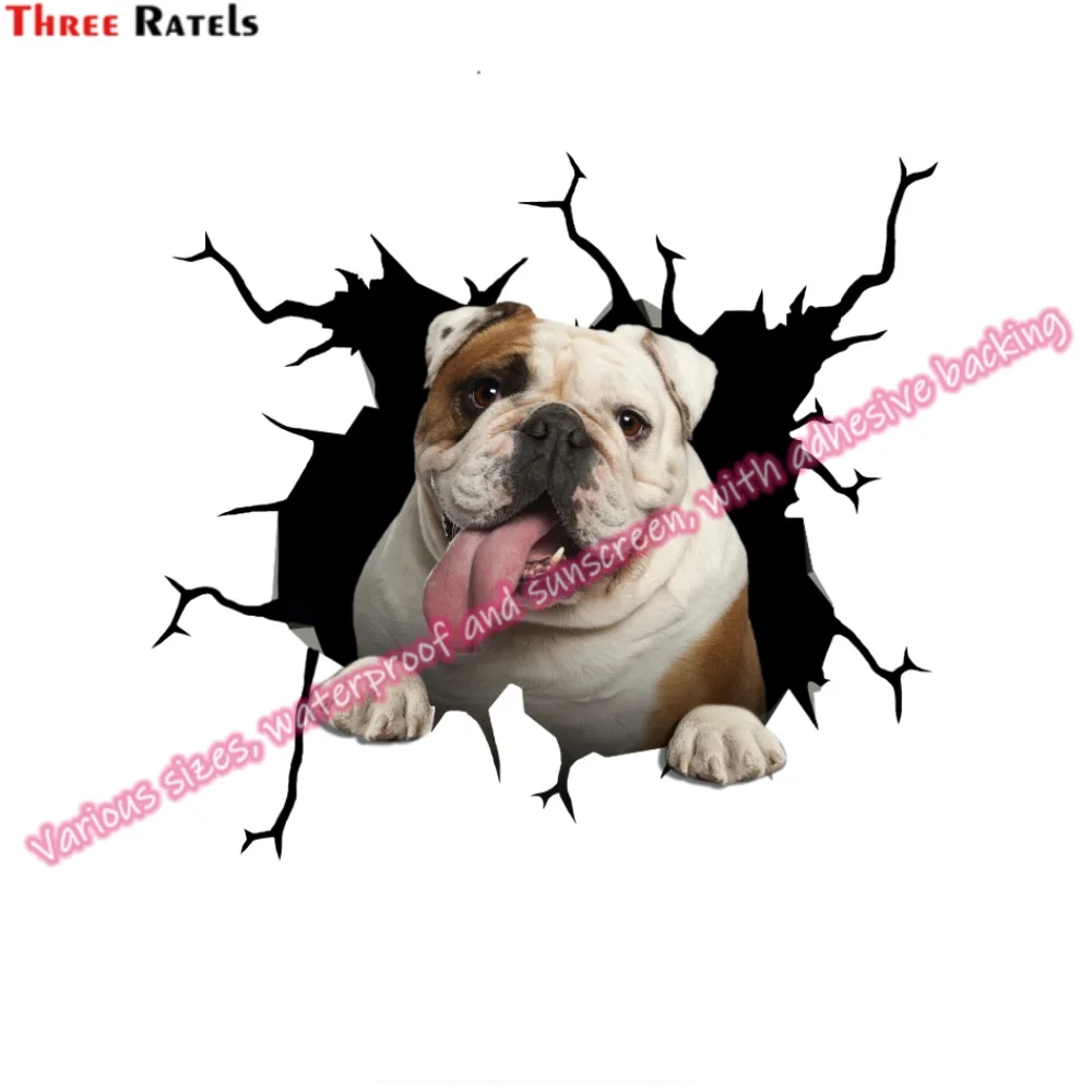 Три Ratels HA-0041 клейкие виниловые аксессуары для BMW F30 Opel Astra H мотоциклетные наклейки